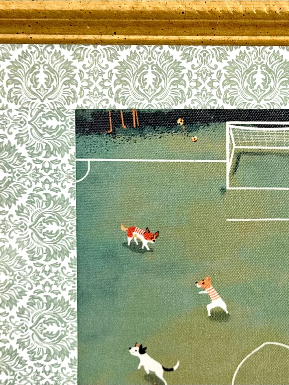 N/A soccer dog